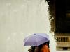 Un p'tit coin de parapluie